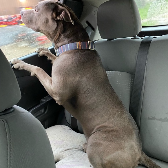 ‼️‼️ LIVE SHOW SCHEDULE ‼️‼️ - Picture 11 of 16